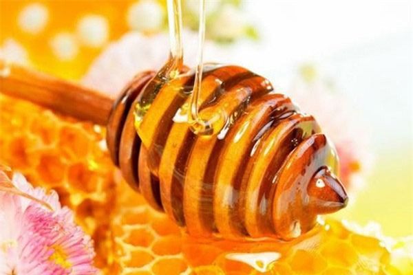 Bài thuốc nam chữa viêm họng hiệu quả từ mật ong