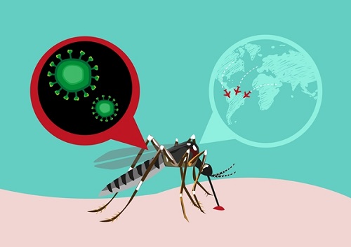 Nguyên nhân, triệu chứng bệnh virus Zika
