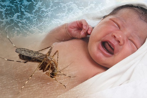 Những yếu tố làm tăng nguy cơ mắc bệnh virus Zika